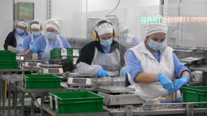 El INE eleva una décima, al 0,6 %, el crecimiento de la economía en el primer trimestre