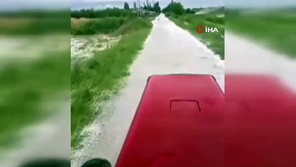 Iğdır'da yağan dolu ekili alanlara zarar verdi