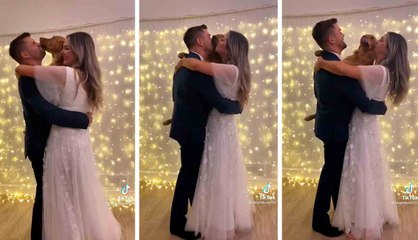 Marido e mulher dançam com seu cão durante cerimônia de casamento
