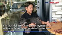 Pegawai Klinik Hewan di Batam Aniaya Anjing hingga Tewas