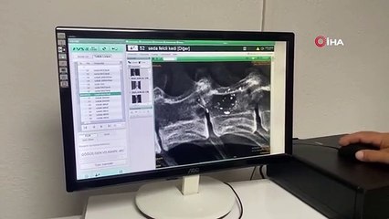 Kanalizasyon borusunun içinde tüfekle vurulmuş halde kedi bulundu