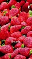 Santé : faut-il se méfier des fraises ?