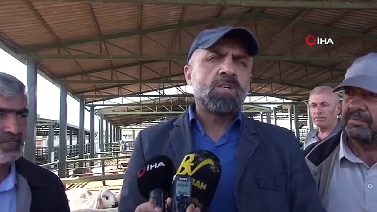 Les citoyens attendent le jour d'Arafa pour acheter un sacrifice