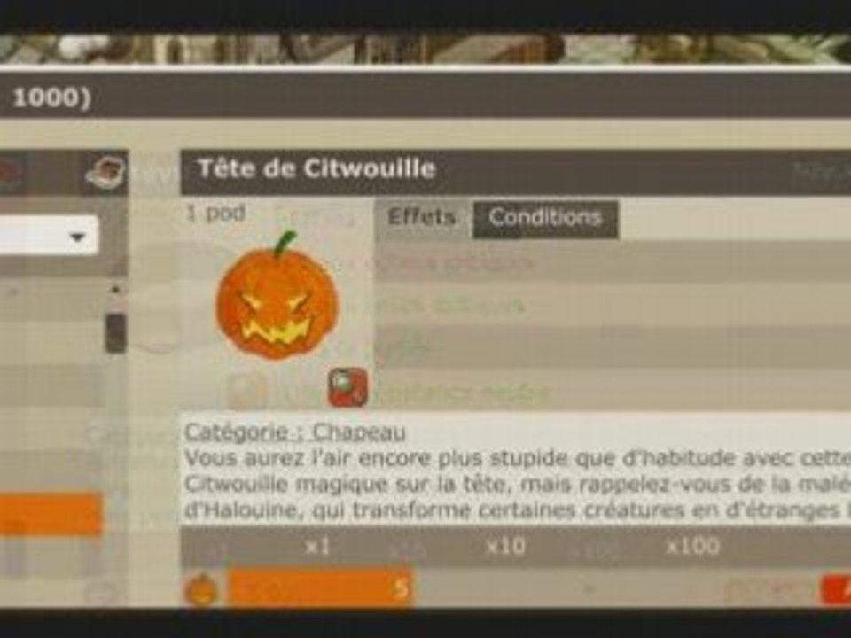 Presentation bonus dofus