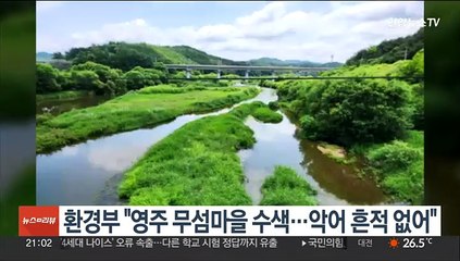 환경부 "영주 무섬마을 수색…악어 흔적 없어"