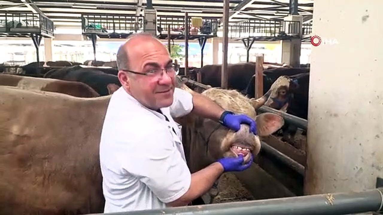 Un test de grossesse avec échographie a été fait aux victimes