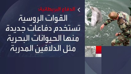 "الدفاع البريطانية": #روسيا تستخدم "الدلافين" لتأمين قاعدة #سيفاستوبول البحرية #العربية