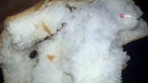 Elazığ'da Ekmeğin İçerisinden Böcek Çıktı