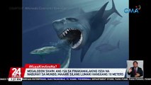 Megalodon shark ang isa sa pinakamalaking isda na nabuhay sa mundo; maaari silang lumaki hanggang 18 meters | 24 Oras