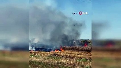 Kaş'taki orman yangını yarım saatte kontrol altına alındı