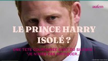 Le prince Harry isolé ? Une tête couronnée sort du silence : 