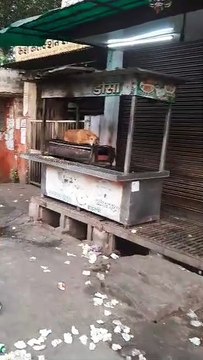 Meerut Video News: जिस तवे पर बनता है लजीज डोसा, रात में कुत्ता करता हैं उस पर आराम, कुत्ते ने चौपट किया कारोबार, देखें वीडियो