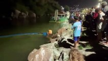 Barco afunda ao tentar puxar outra embarcação naufragada em Florianópolis