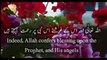 Surah Al Ahzab Ayah 56 _ Quran urdu translation whatsapp status Quran whataapp s