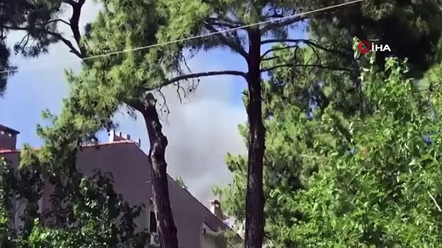 Incendie de forêt à Marmaris