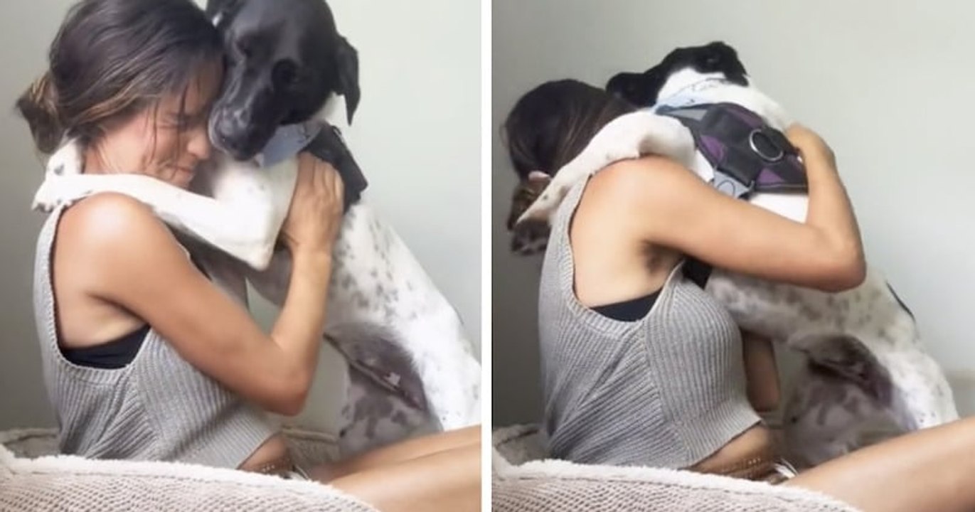 Cette chienne nouvellement adoptée ne peut s'empêcher de câliner sa maîtresse