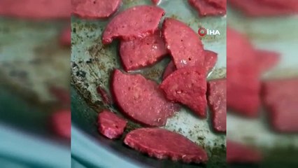 Sucuktan kurtçukların fışkırdığı ilimizde şimdi de ekmekten hamam böceği çıktı