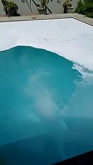Salt water pool