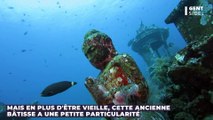 Un temple perdu sous la mer, vestige d'une tribu nomade, découvert par des scientifiques