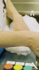 Ces T-Shirts sont Faits avec du Bois ! 