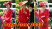 Radiant Kate Middleton turns heads at Royal Ascot in a vibrant red dress and stylish hat for Day Fou