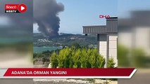 Adana'da orman yangını başladı 