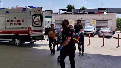 Arıların saldırısına uğrayan genç hastanelik oldu