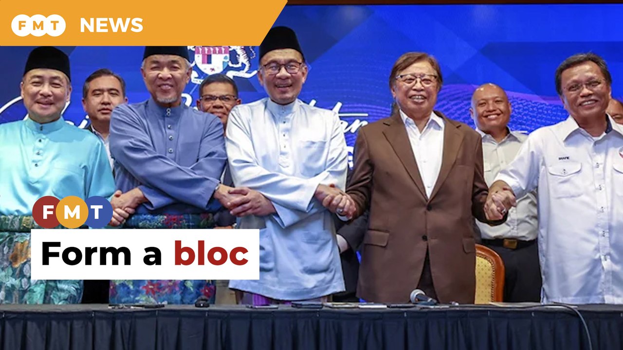 Form bloc within PH, small parties backing Anwar govt told