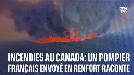 Incendies au Canada: un pompier français raconte l’ampleur des dégâts sur place