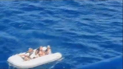 Huit Danois secourus après la collision de leur voilier avec une baleine dans le Pacifique