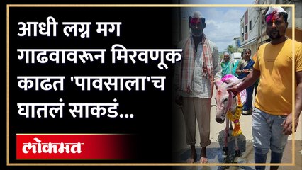 गावकऱ्यांच्या उपस्थितीत 'लग्न' मग 'गाढवा'वरून वाजत गाजत मिरवणूक, 'पावसा'साठी 'या' गावची 'अनोखी परंपरा' एकदा बघाच...