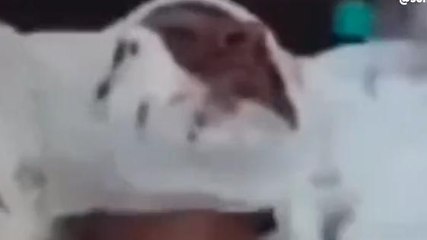 बिग ब्रेकिंग: युवक को बदमाशों ने मोबाइल छीनने के दौरान ट्रेन से फेंका, और फिर हुआ ये