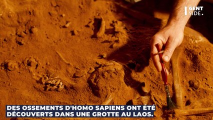 Des ossements humains de 86 000 ans retrouvés au Laos