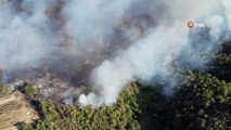 Adana'da Orman Yangını: Vatandaşlar Yangına Müdahale Ediyor