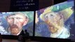 Van Gogh Alive continues to delight the crowds in Brighton