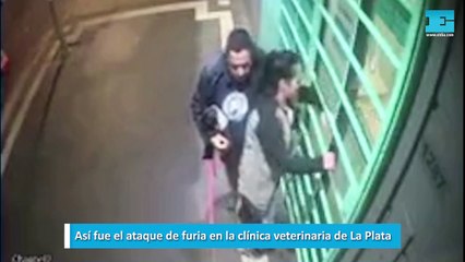 Así fue el ataque de furia en la clínica veterinaria de La Plata