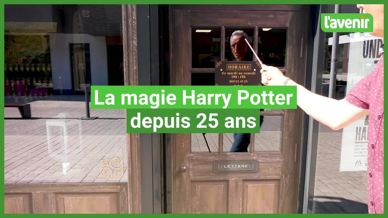 Harry Potter, 25 ans de magie