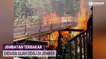 Jembatan Terbakar Diduga Ulah ODGJ di Jember, Petugas Damkar Berjibaku Padamkan Api