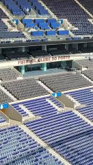 Relvado Estádio do Dragão