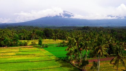 Volcans: Les Feux de la Creation - Bande Annonce