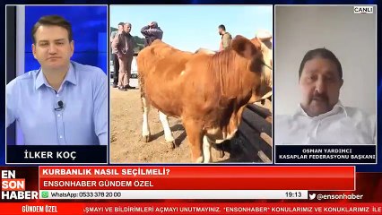 Kasaplar Federasyonu Başkanı Ensonhaber'e anlattı: Kurbanlık alırken nelere dikkat etmeliyiz?