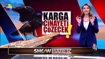 İstanbul'da karga tarafından bulunan parmakların neşterle kesilmiş olduğu ortaya çıktı