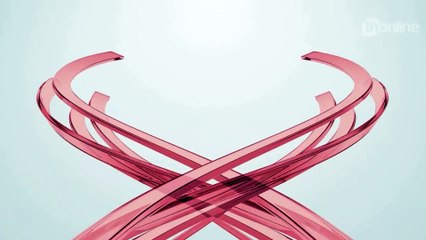 Cão selvagem ataca turista e é sacrificado; entenda o que aconteceu