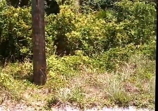 lotes_y_terrenos_para_construir_una_casa_desde_$19,000_us (360p)