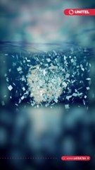 ¿Qué es una implosión catastrófica como la que acabó con el sumergible Titán?