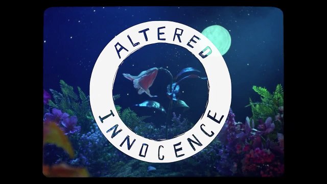 L’homme blessé Bande-annonce (RU)