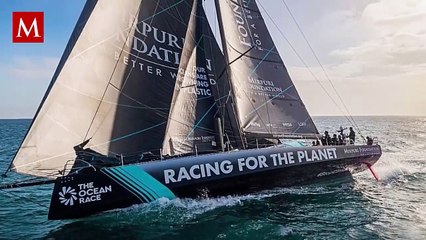 Manada de orcas ataca embarcación de Ocean Race