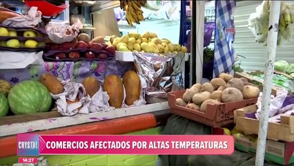 Comerciantes continúan sufriendo desabasto de hielo en la CDMX