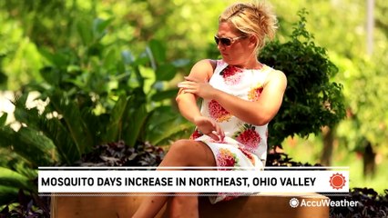 Mosquito days are on the rise in this region