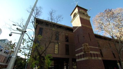 Ratu Meli Bainimarama accused of several domestic violence-related incidents